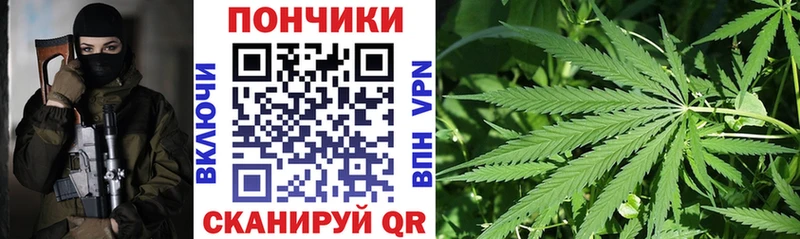 Канабис сатива  Рязань 